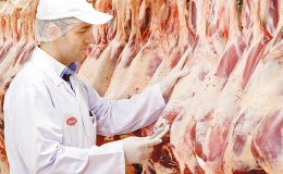DANET'ten  Sıcak Havalarda Et ve Et Ürünleri için   Saklama ve Pişirme Önerileri- Güncel