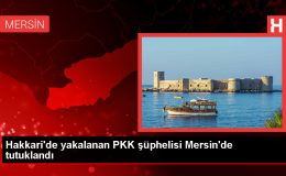 Hakkari’de terör örgütü PKK’ya yönelik operasyonda gözaltına alınan şüpheli Mersin’de tutuklandı