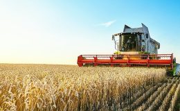 Türkiye Kalkınma ve Yatırım Bankası'ndan Türkiye Sosyal Etki Ekosisteminde bir ilk daha: Buğday Fiyatına Endeksli Sukuk İhracı- Güncel