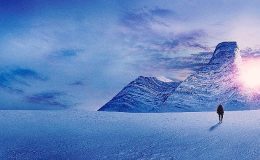 Üç Bölümlük 'Alex Honnold ile Arktik Tırmanışı' 9 Şubat Cuma 20.00'de tüm bölümleriyle National Geographic Ekranlarında- Güncel