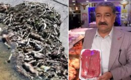 Adana Kasaplar Odası Başkanı: At eti sulu olur, pişirdiğinizde suyu mangalı söndürür
