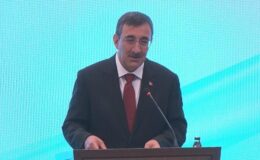 Cumhurbaşkanı Yardımcısı Yılmaz’dan Kazak firmalarına davet