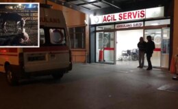 Kayseri’de başıboş bir eşeğin ısırdığı kadın yaralandı