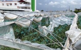Mersin’de Şiddetli Fırtına ve Rüzgar Ekili Alanlara Zarar Verdi